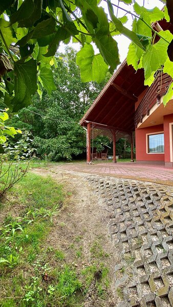 Giurgiu, vila cu padure proprie, izvor si iaz pe 19.900 mp teren,